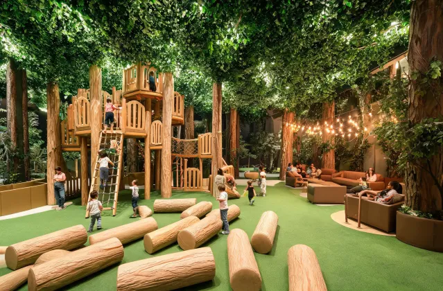 Forest soft play concept